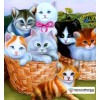 Ships From USA - Kittens in the Basket 50x50cm
