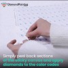 Rainbow Zebra Diamond Painting Kit