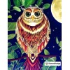 Lovely Owl Diamond Painting Kit