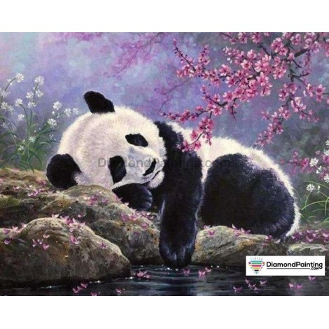 Panda Fun Diamond Painting Kit