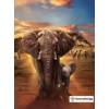 Elephant In The Wild Diamond Painting Kit