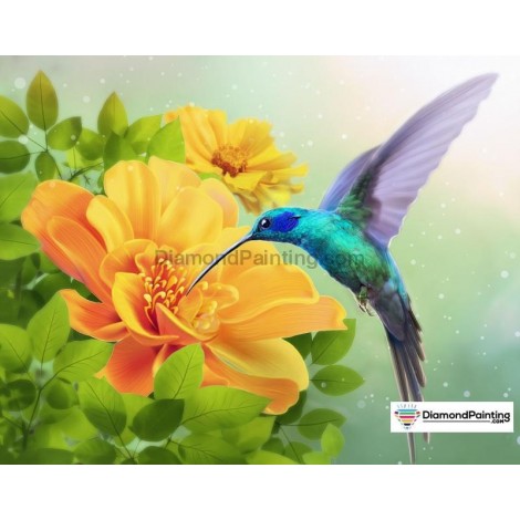 Springtime Hummingbird Diamond Painting Kit