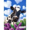 Cow In Love Diamond Painting Kit