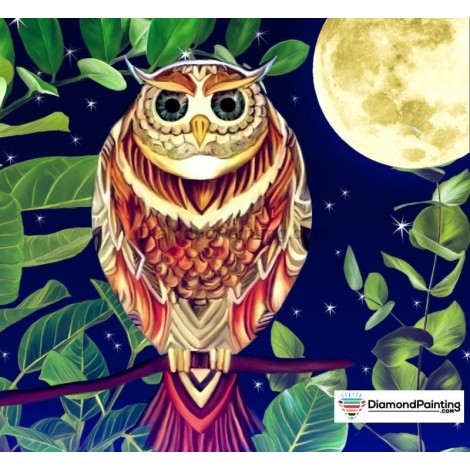 Ships From USA - Amazing Owl 40x40cm