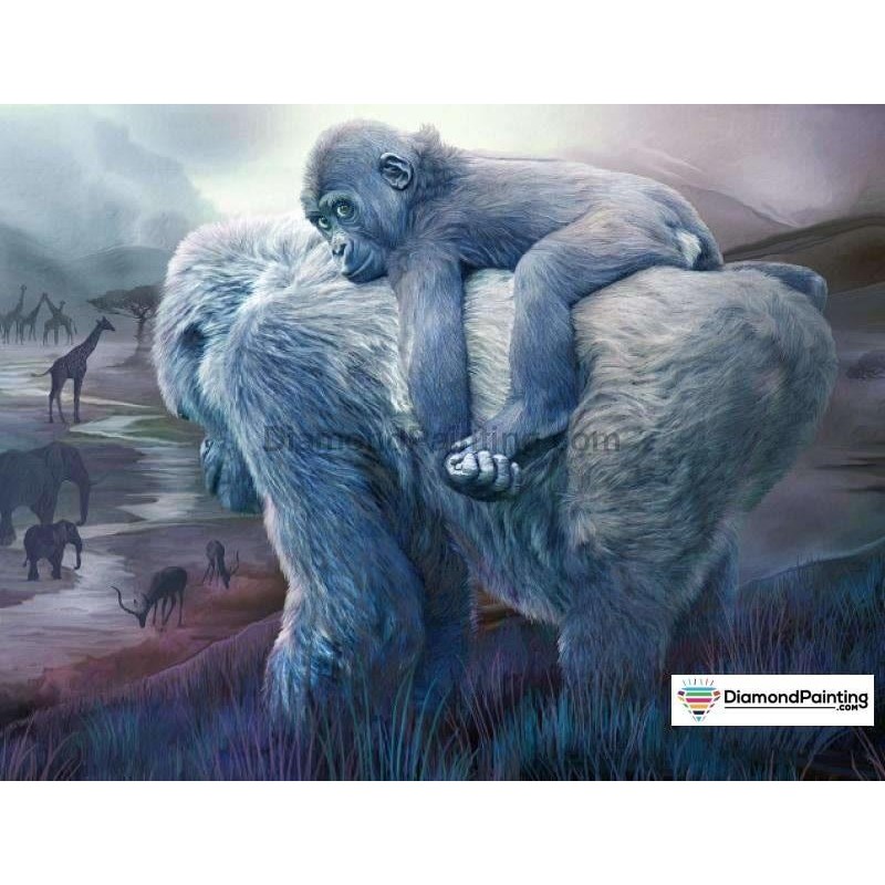 Adorable Orangutan D...