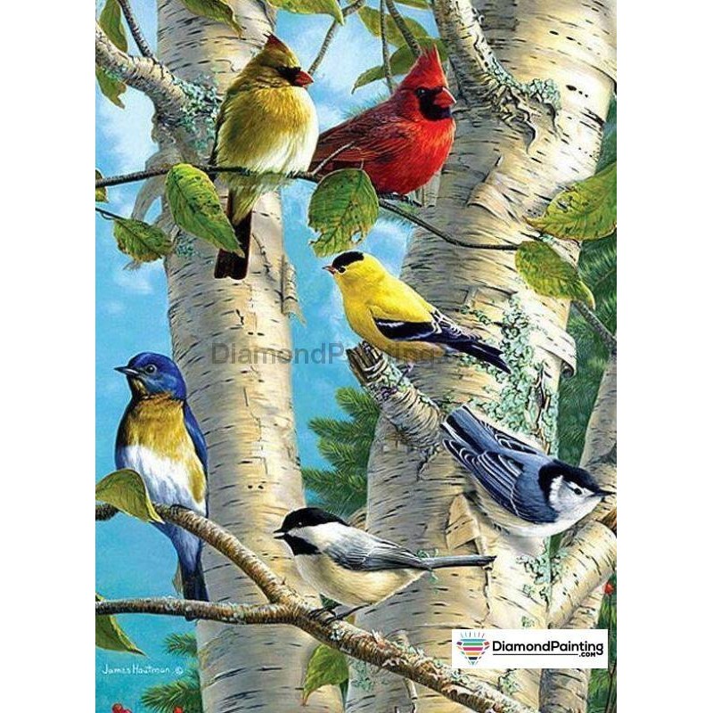 Colorful Birds Diamo...