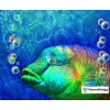 Abstract Sea Fish DIY Diamond Painting Kit