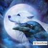 Ships From USA - White Wolf and Raven 30x30cm