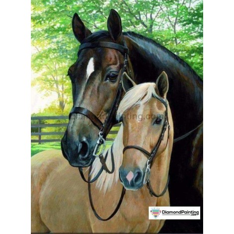 Ships From USA - Horse in Love 60x40cm