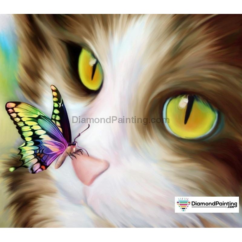 Cat and Butterfly Di...