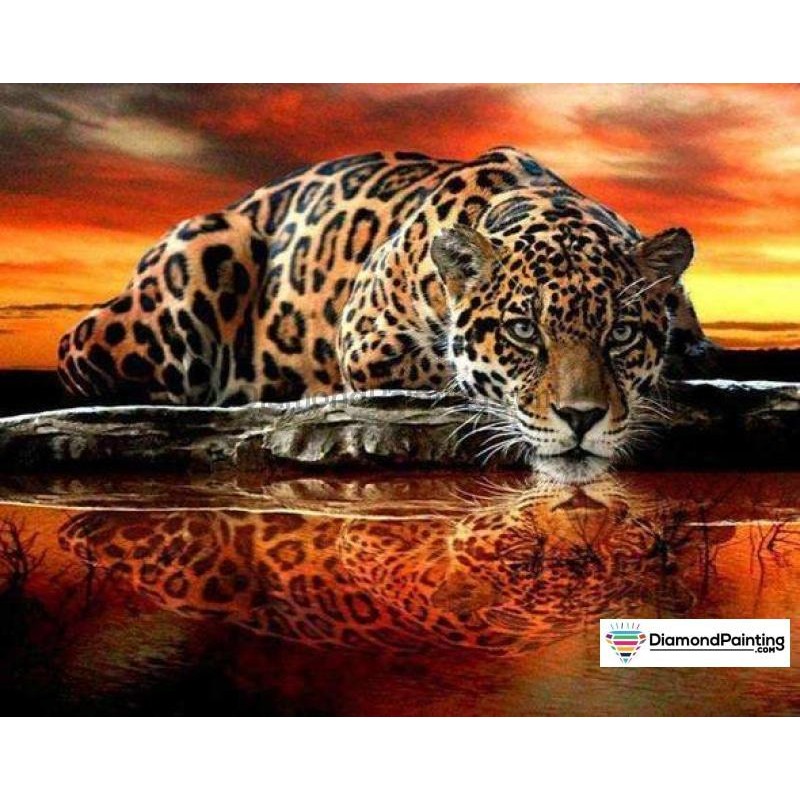 Jaguar Reflections D...