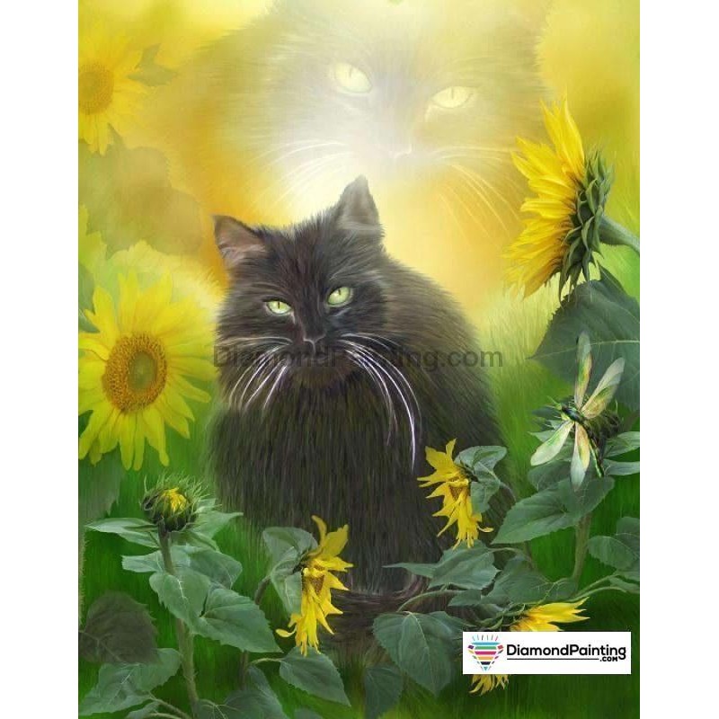 Black Cat Painting W...
