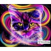 Ships From USA -  Rainbow Party Cat 50x40cm