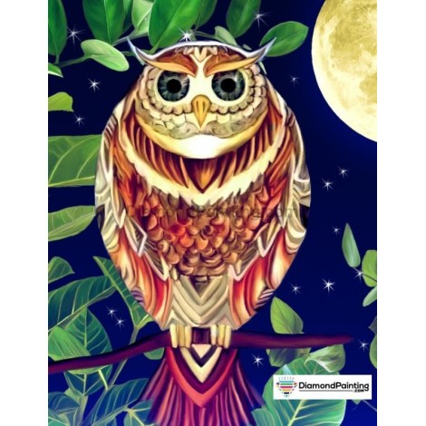 Colorful Owl Diamond Painting Kit