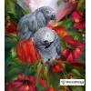 Birds In Love Diamond Painting Kit