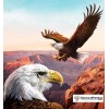 America The Beautiful Eagle Diamond Painting Kit