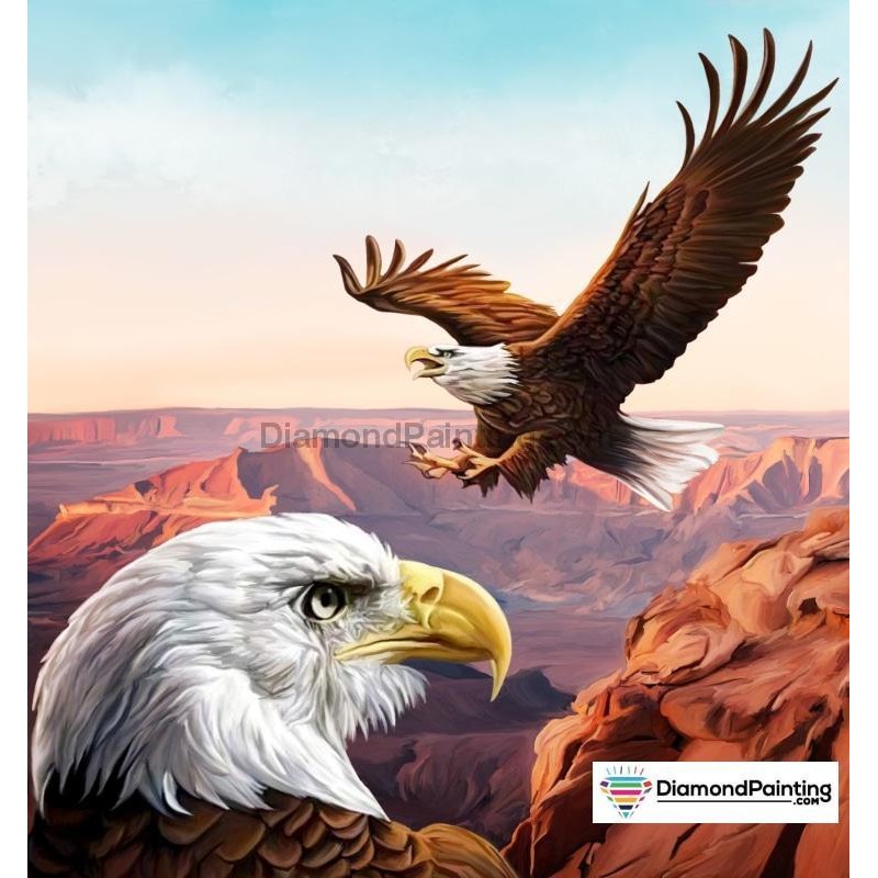 America The Beautifu...