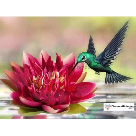 Ships From USA - Green Hummingbird in Flight 40x50cm