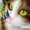 Kitty With Butterfly Diamond Painting Kit