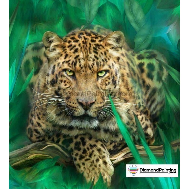 African Leopard 5D D...