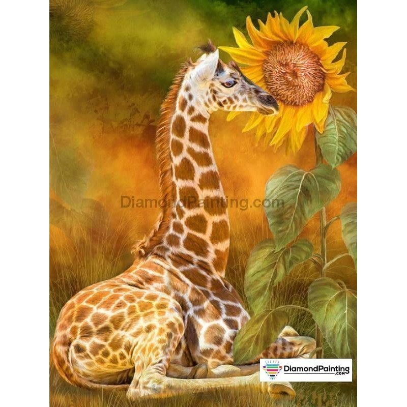Giraffe With Sunflow...