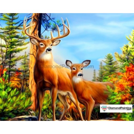 Ships From USA - Deer Spring 40x50cm