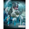 Ships From USA - Pit Bull Dream Catcher 60x40