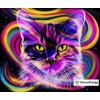 Ships From USA -  Rainbow Party Cat 20x30cm
