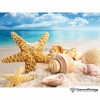 Sea Shells 5D Diamond Art Kit