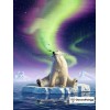Polar Bear Under Northern Lights DIY Diamond Painting Kit