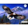 Ships From USA - Eagle Moon 30x20cm