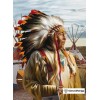 Ships From USA -  Indian Chief 30x20cm