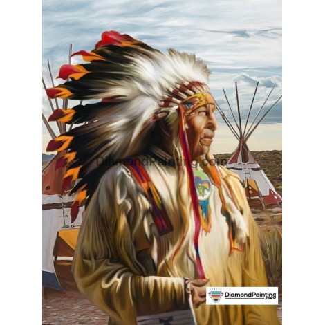Ships From USA -  Indian Chief 30x20cm