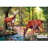 Deer in the Spring Paint By Diamonds Kit
