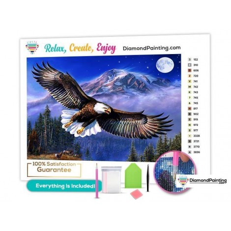 Eagle Sky Paint By Diamonds Kit for Adults