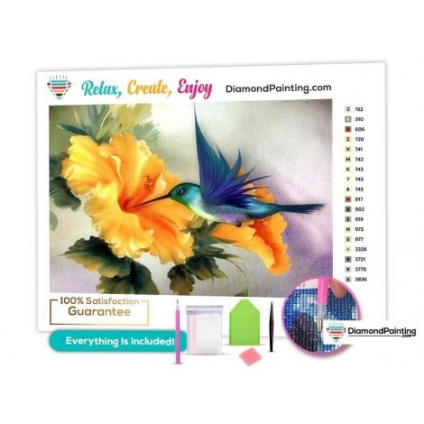 Hummingbird in Flight Paint By Diamonds Kit for Adults