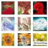 Colors of Fun Diamond Painting Kit