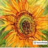 Colors of Fun Diamond Painting Kit
