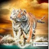 Colors of Fun Diamond Painting Kit