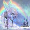 Colors of Fun Diamond Painting Kit