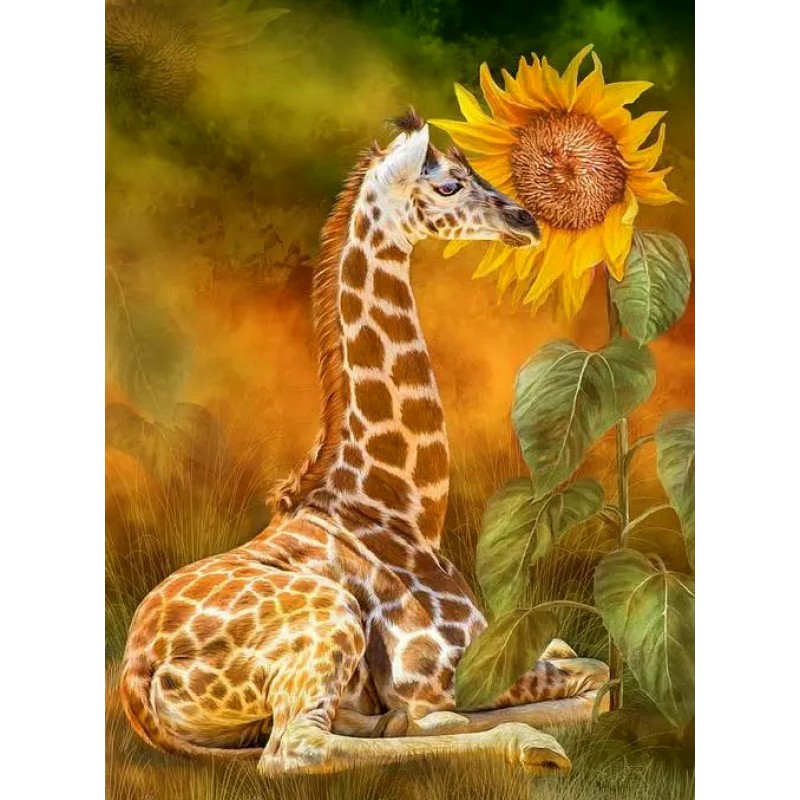Giraffe With Sunflow...