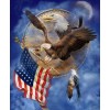 American Eagle DIY Diamond Painting Kit